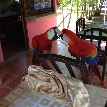 Hotel El Paraiso Escondido - Costa Rica Jacó Eksteriør billede
