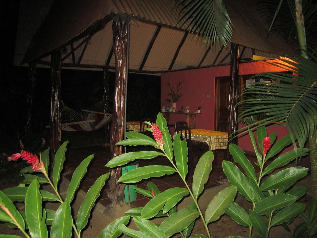 Hotel El Paraiso Escondido - Costa Rica Jacó Eksteriør billede
