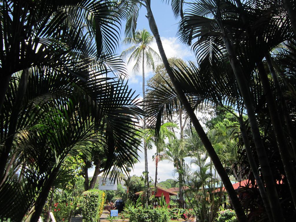 Hotel El Paraiso Escondido - Costa Rica Jacó Eksteriør billede