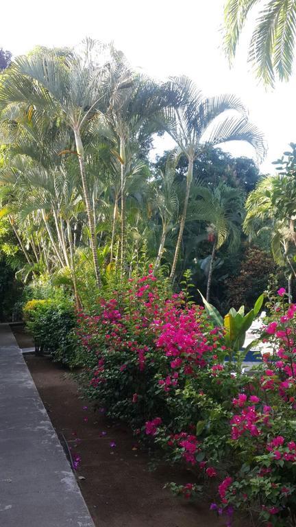 Hotel El Paraiso Escondido - Costa Rica Jacó Eksteriør billede