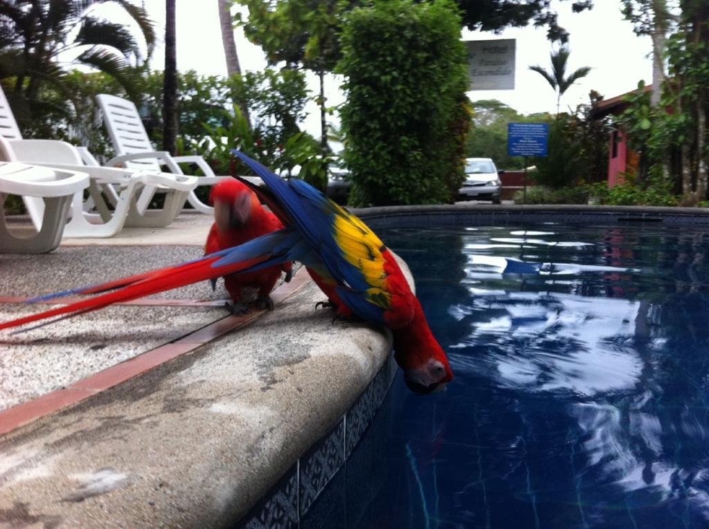 Hotel El Paraiso Escondido - Costa Rica Jacó Eksteriør billede
