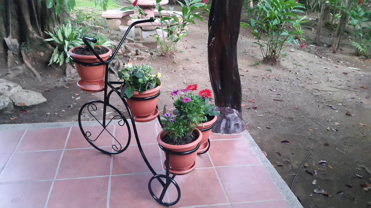 Hotel El Paraiso Escondido - Costa Rica Jacó Eksteriør billede