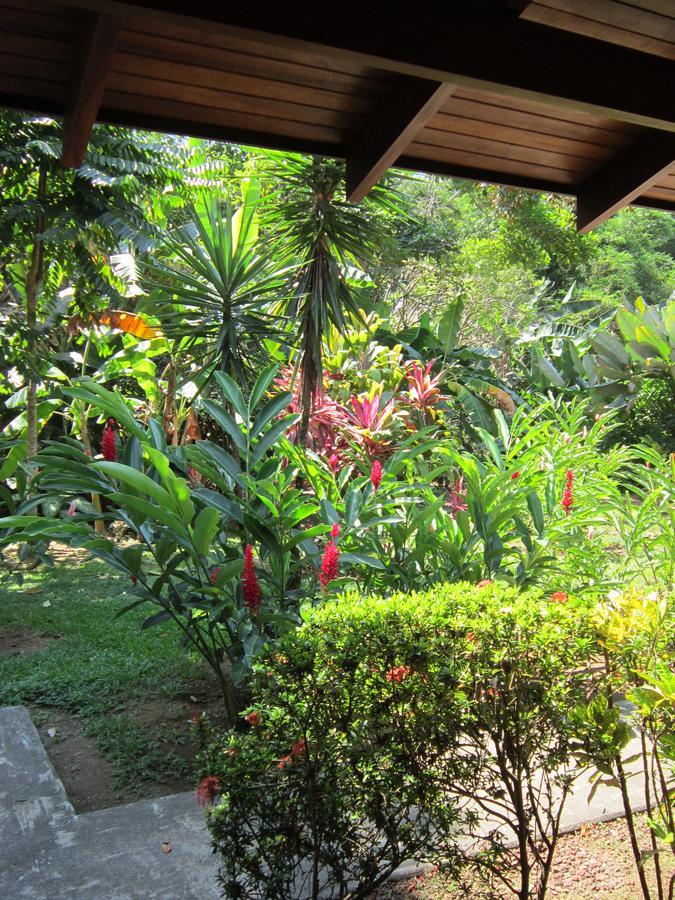 Hotel El Paraiso Escondido - Costa Rica Jacó Eksteriør billede