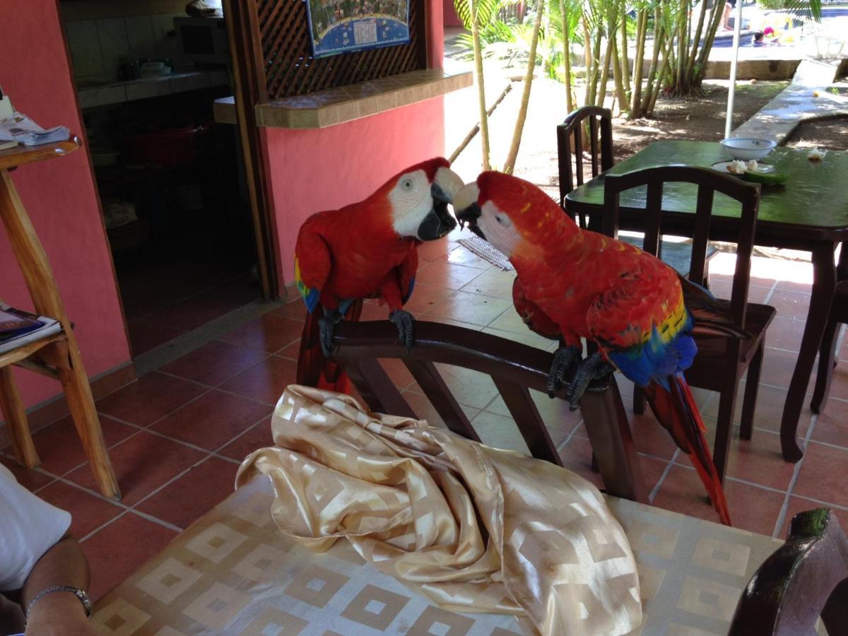 Hotel El Paraiso Escondido - Costa Rica Jacó Eksteriør billede
